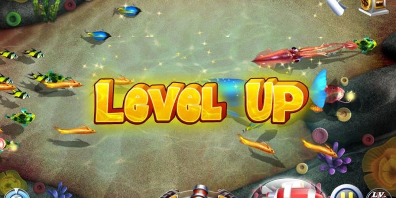 Bí quyết nâng trình săn cá