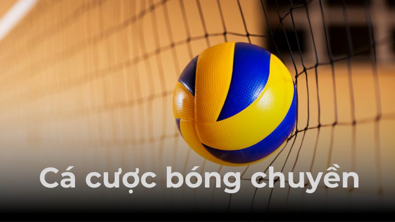 Khái quát phương thức cá cược ở môn bóng chuyền