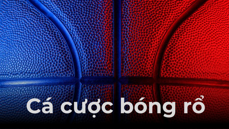 Giới thiệu sơ bộ hình thức cá độ thể thao