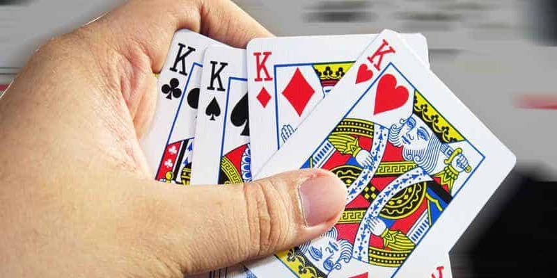 Cách dụ heo đỏ để chặt nhanh chóng và dễ dàng hơn