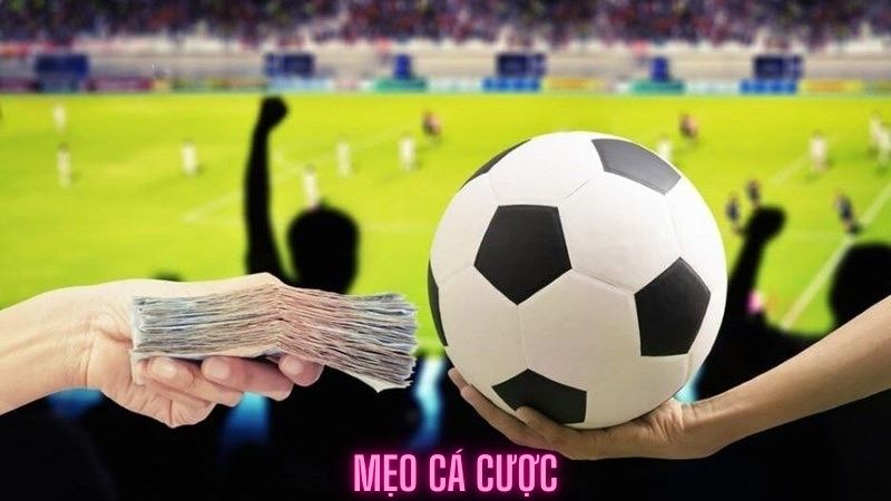 Đôi nét thông tin về mẹo cá cược