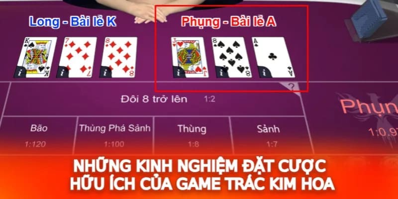 Trác Kim Hoa giúp bạn nâng cao chiến lược cá cược hiệu quả