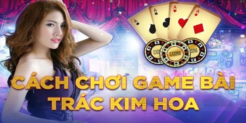 Khám phá luật chơi bài Trác Kim Hoa mà bạn cần nắm